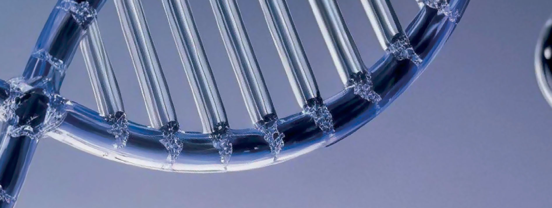 MIRA-15 Genetic Cancer Panel